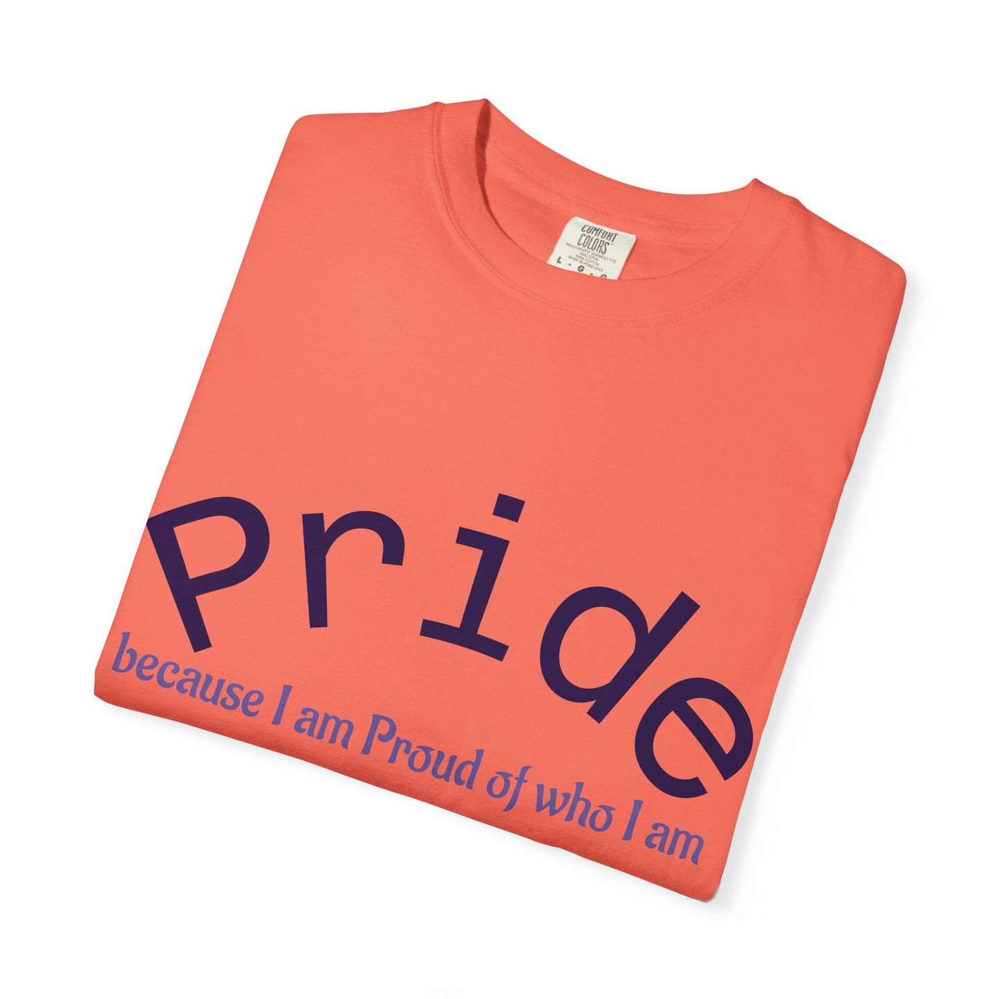 Wear your Pride!! Unisex Pride Tee, LGBT Flag Shirt, Love is Love Apparel, Gay Pride, Deal with it, I am PROUD