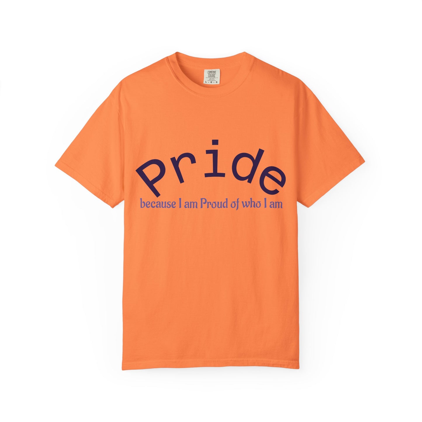 Wear your Pride!! Unisex Pride Tee, LGBT Flag Shirt, Love is Love Apparel, Gay Pride, Deal with it, I am PROUD