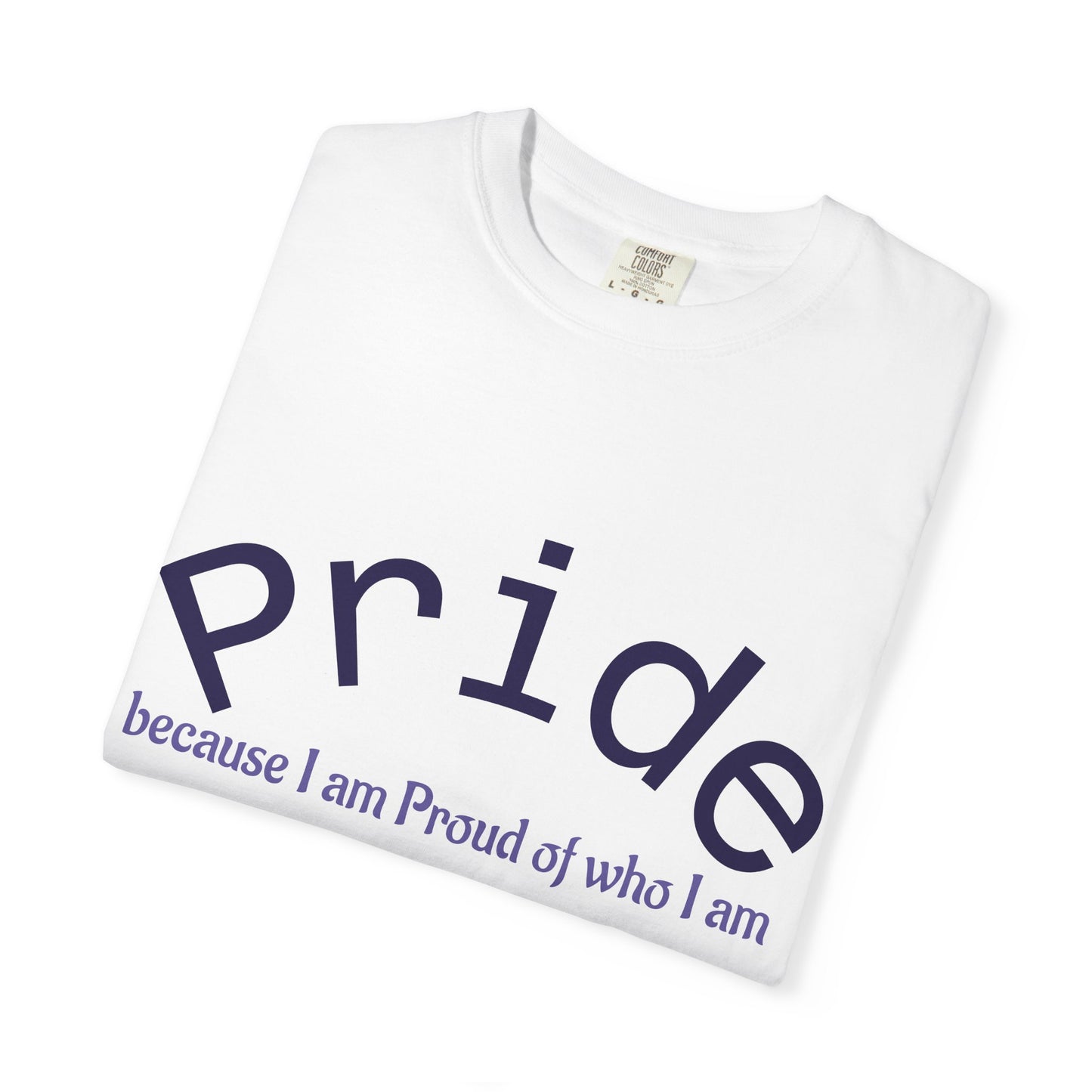 Wear your Pride!! Unisex Pride Tee, LGBT Flag Shirt, Love is Love Apparel, Gay Pride, Deal with it, I am PROUD