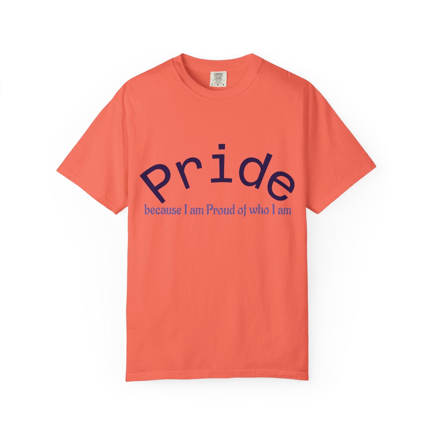 Wear your Pride!! Unisex Pride Tee, LGBT Flag Shirt, Love is Love Apparel, Gay Pride, Deal with it, I am PROUD