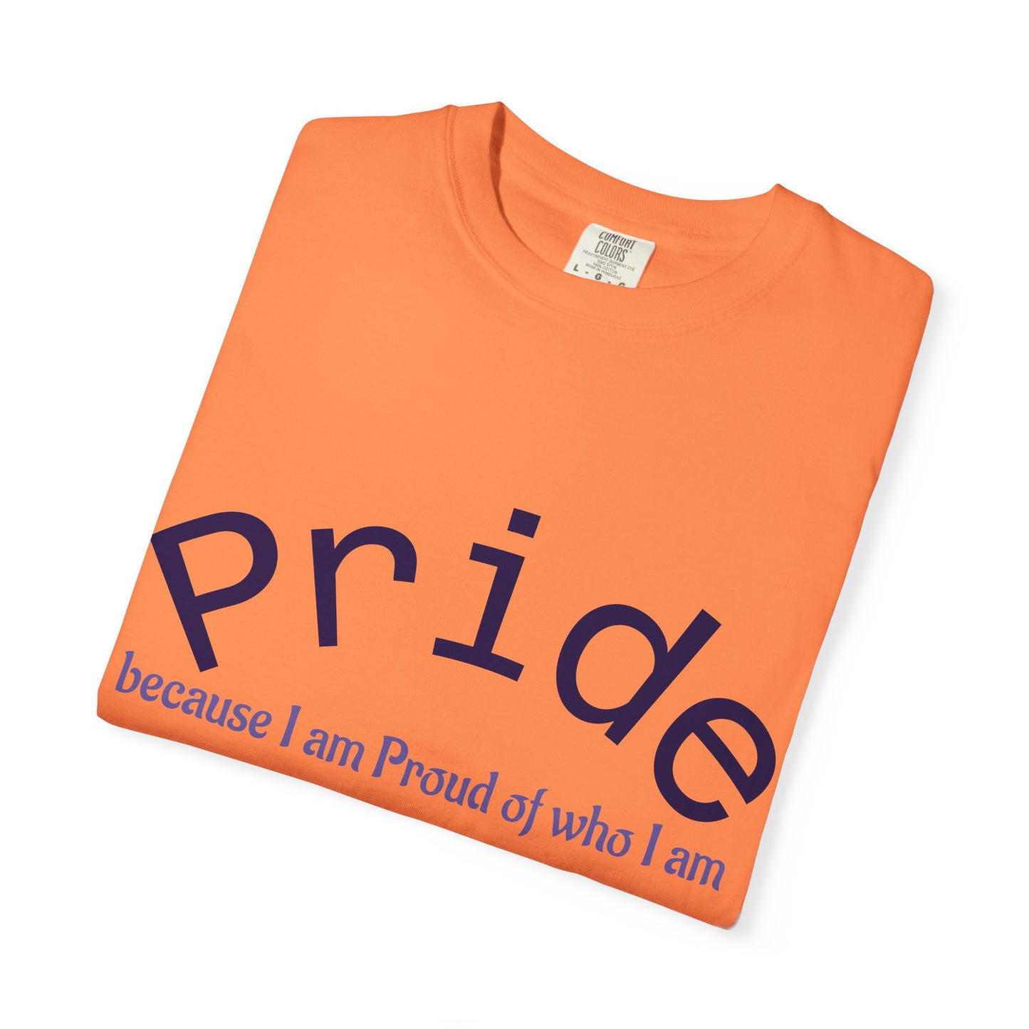 Wear your Pride!! Unisex Pride Tee, LGBT Flag Shirt, Love is Love Apparel, Gay Pride, Deal with it, I am PROUD