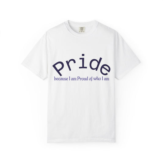 Wear your Pride!! Unisex Pride Tee, LGBT Flag Shirt, Love is Love Apparel, Gay Pride, Deal with it, I am PROUD