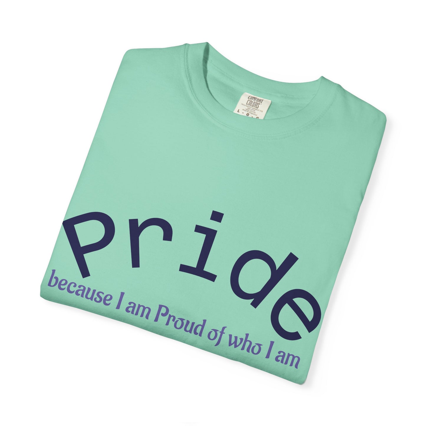 Wear your Pride!! Unisex Pride Tee, LGBT Flag Shirt, Love is Love Apparel, Gay Pride, Deal with it, I am PROUD